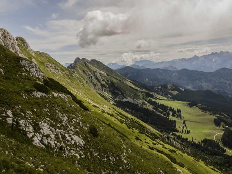 abg featured 11979 1761253942 crematório e Funerária