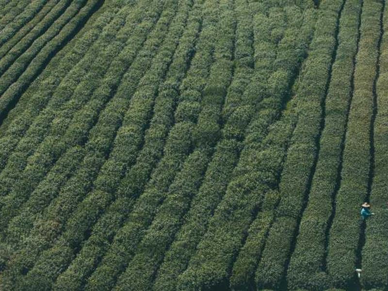 abg featured 12010 1761258670 crematório e Funerária