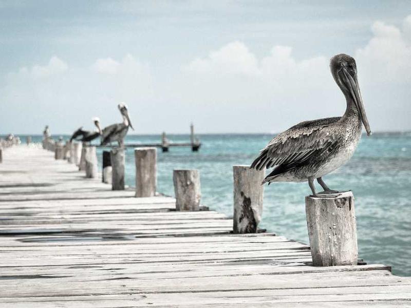 abg featured 12063 1761305782 crematório e Funerária