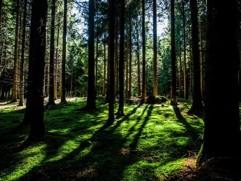 abg featured 12305 1761397545 crematório e Funerária