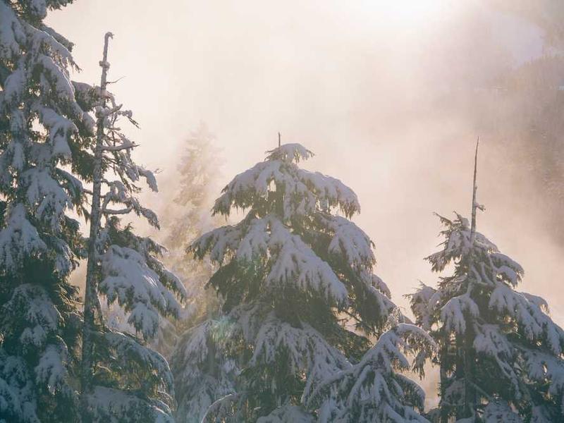 abg featured 7857 1759690100 crematório e Funerária