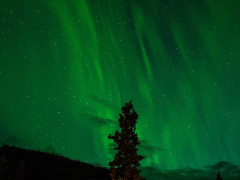 abg featured 9943 1760464823 crematório e Funerária