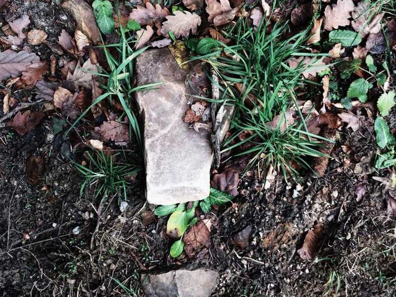 abg featured 9981 1760472327 crematório e Funerária