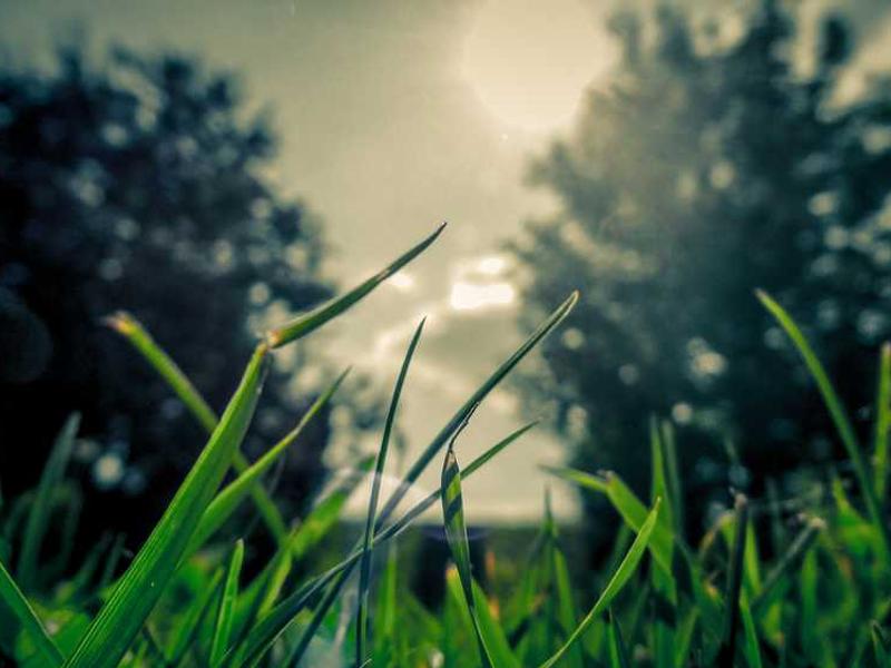 abg featured 14187 1764012858 crematório e Funerária