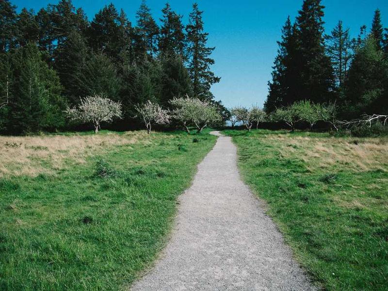 abg featured 14509 1764139856 crematório e Funerária