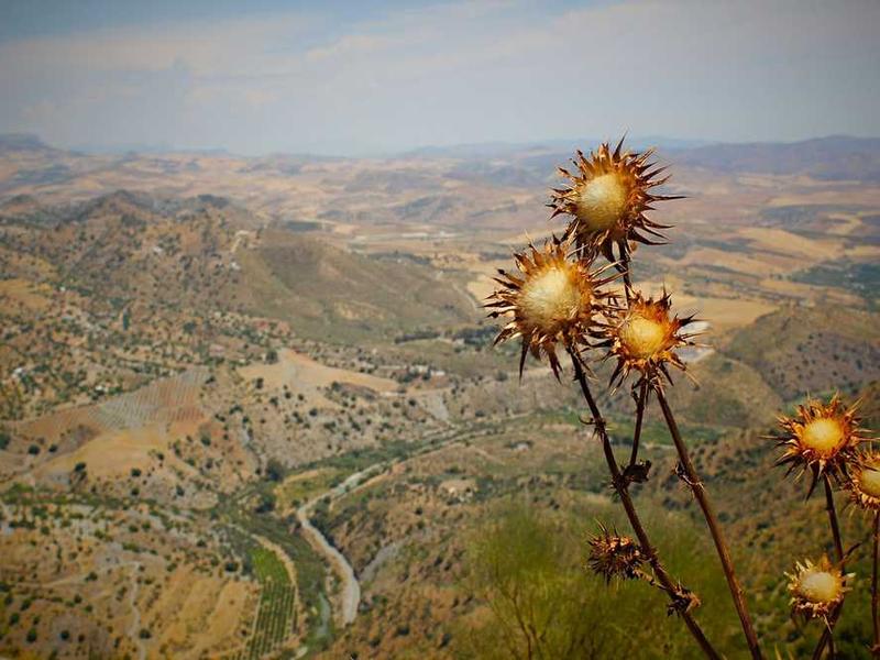 abg featured 14529 1764152099 crematório e Funerária