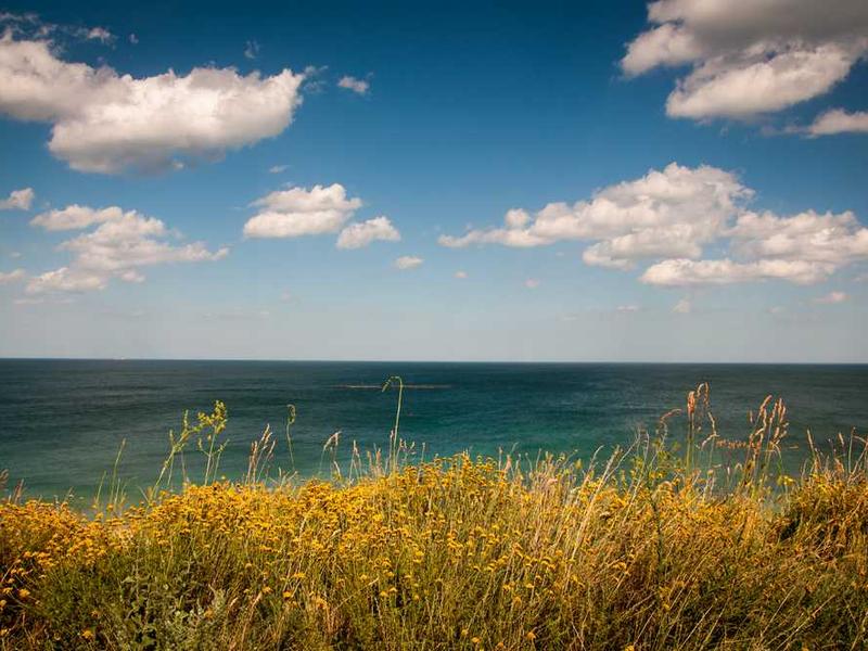 abg featured 14547 1764160309 crematório e Funerária