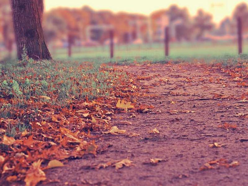 abg featured 14589 1764175059 crematório e Funerária